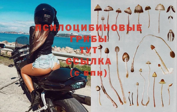 альфа пвп Белоозёрский